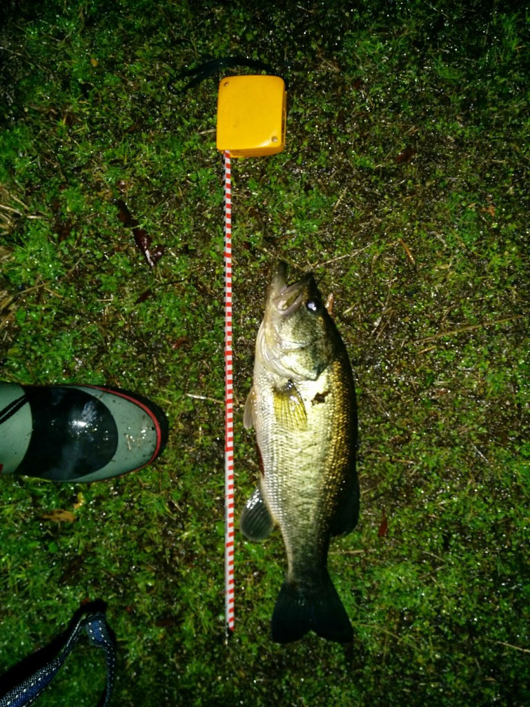 3 7 琵琶湖南湖でバス釣り つかもーるの釣りとandroidアプリ